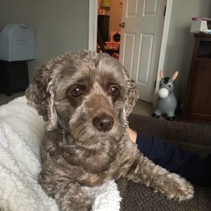 Meet your Posher, Rebekah